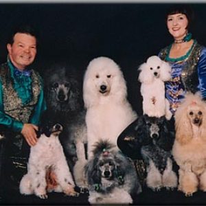 "Steve Switzer was NOT raised by a family of circus poodles"